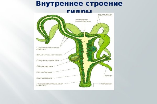 Как найти кракен шоп