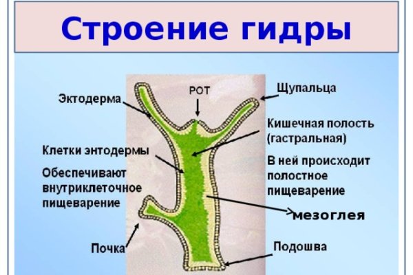 Кракен даркнет поддержка