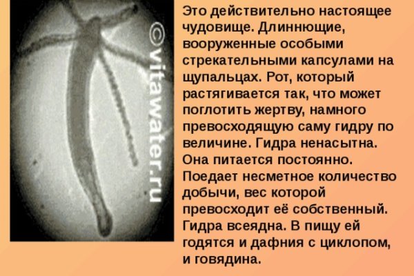 Ссылка кракен даркнет маркет