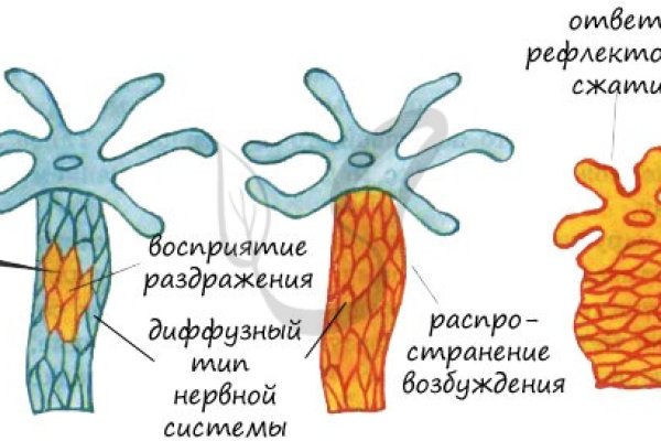 Kra29.at